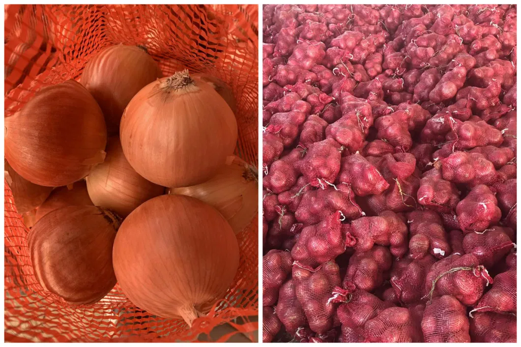 Chinese Fresh Good Quality Yellow Onion