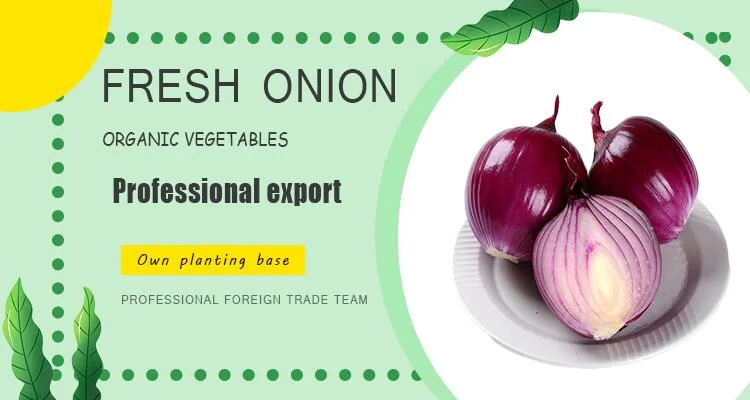 Fresh Red Onion/Onions Exporter